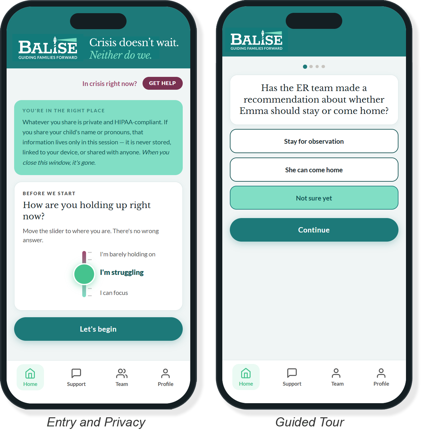 Mobile phone views of the entry and privacy screen and example of a guided questions screen
